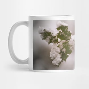 snow covered holly leaves Mug